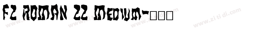 FZ ROMAN 22 Medium字体转换
